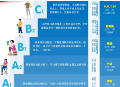 tef法语课程有什么？