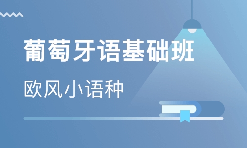 大学葡萄牙语专业有哪些课程